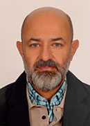 Prof. Dr. Özgür Mehmet YİS