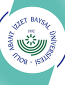 Dr. Öğr. Üyesi Mesut SARİ