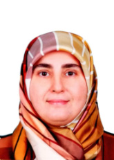 Dr. Öğr. Üyesi Meyri Arzu YOLDAŞ