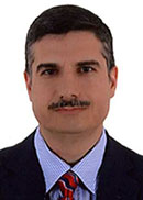 Prof. Dr. Yılmaz GÜNEŞ